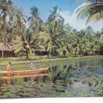 The Coco Palms Lagoon
